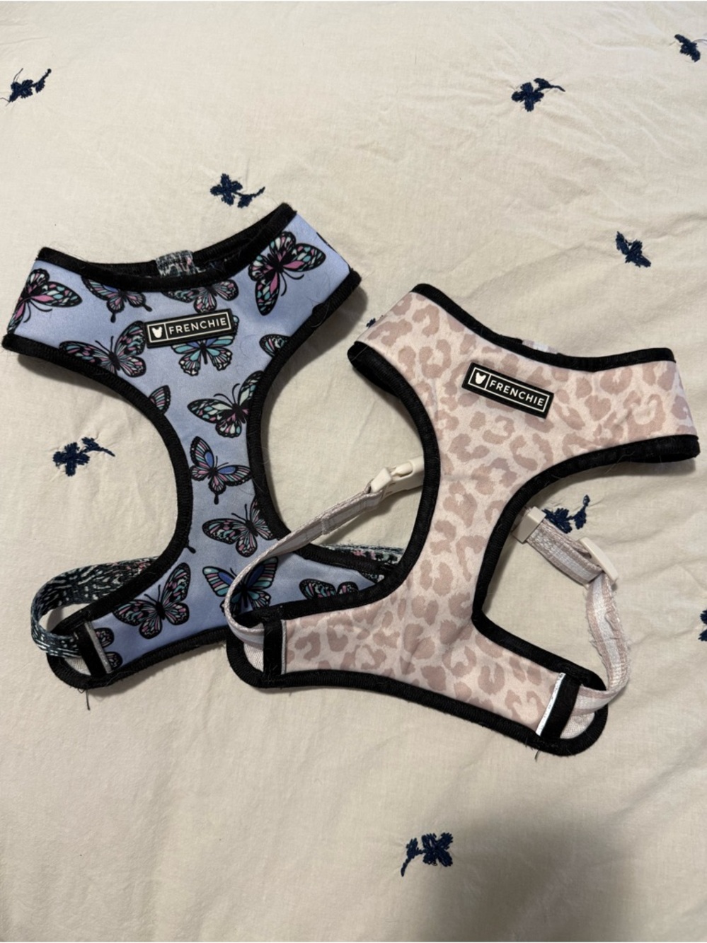 Two frenchie Harness bundle